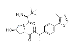 CPD101077