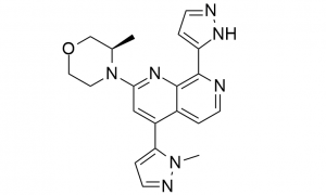 Reasonable price THZ531 -
 BAY-1895344 – Caeruleum