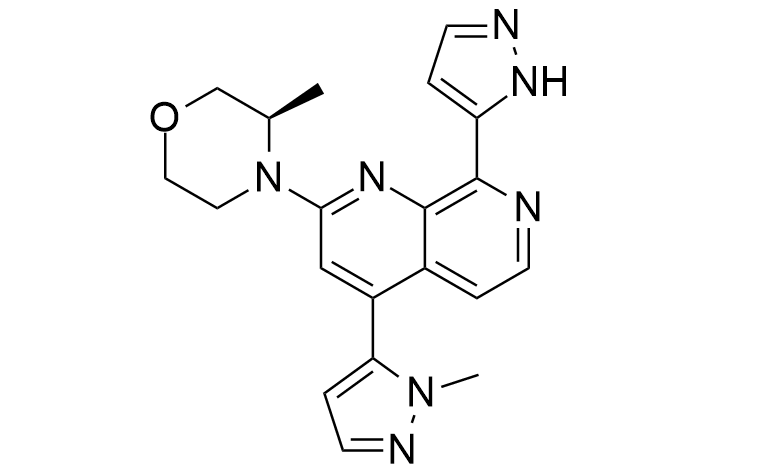 Competitive Price for Aniracetam Cas 72432-10-1 -
 BAY-1895344 – Caeruleum