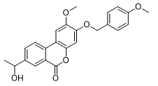 Palomid-529