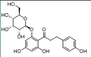 Phlorizin