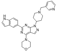 Drumul-600