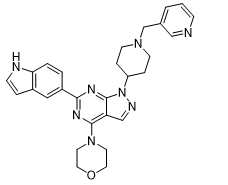 WAY-600