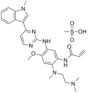 Fixed Competitive Price Oncology Drug -
 Osimertinib Mesylate – Caeruleum