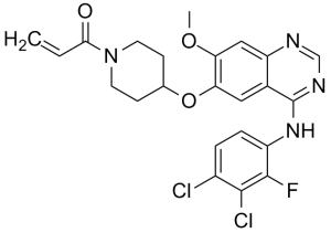 100% Original 6 – Lactaminic Acid -
 Poziotinib – Caeruleum
