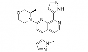 Professional Design Pancreatin Enzyme For Medical Use -
 BAY-1895344 – Caeruleum