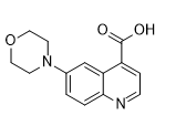 6-morpholinoquinoline-4-carboxylic acid