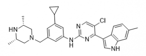 Tuspetinib; HM43239