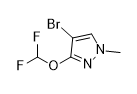 4-bromo-3-(difluoromethoxy)-1-methyl-1H-pyrazole