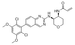 Hot-selling 9 – Erlotinib Hydrochloride -
 BLU-554 – Caeruleum